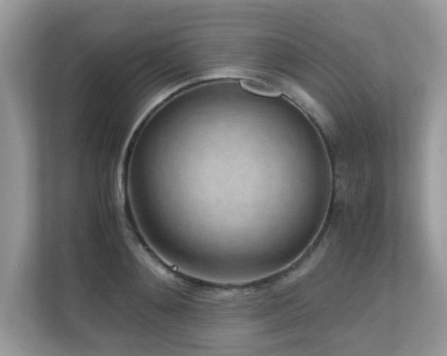 X0000110730892200906121446