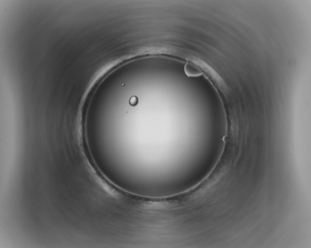 X0000110730894200906121446