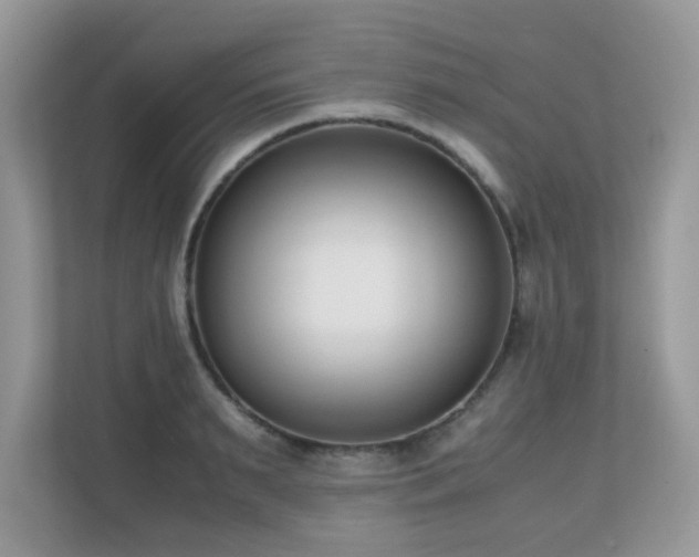 X0000110730895200906121446