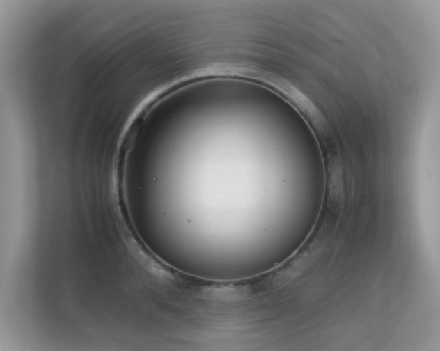 X0000110730896200906121446