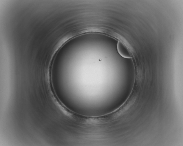 X0000110730898200906121446