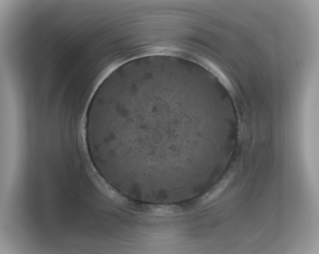 X0000110730899200906121446