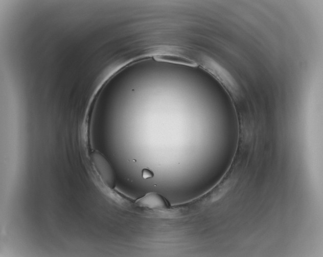X0000110730900200906121446