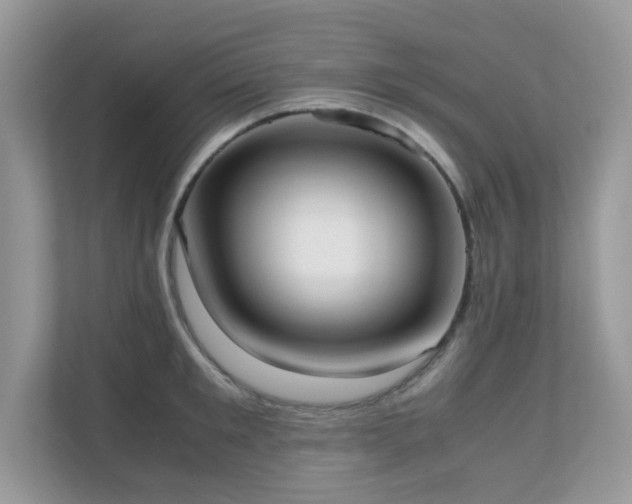 X0000110730901200906121446