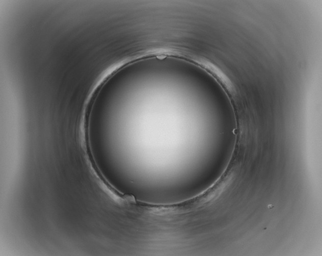 X0000110730902200906121446