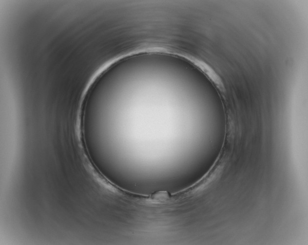 X0000110730904200906121446
