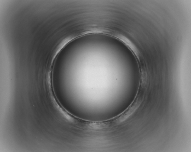 X0000110730906200906121446