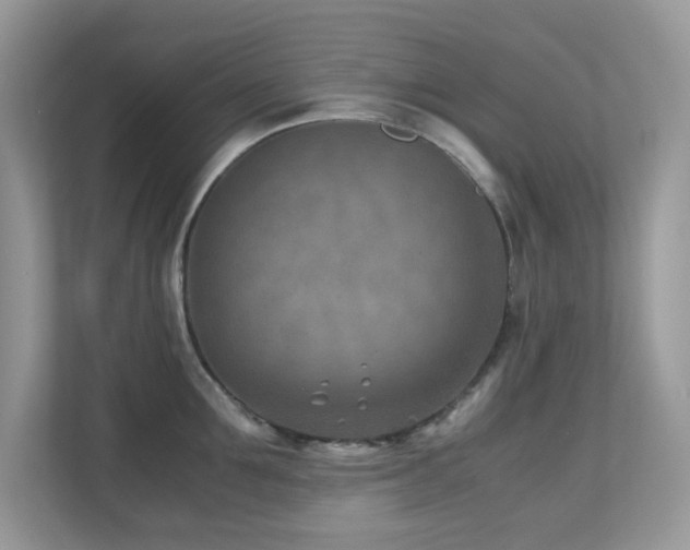 X0000110730907200906121446