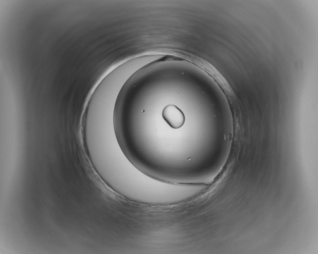 X0000110730908200906121446