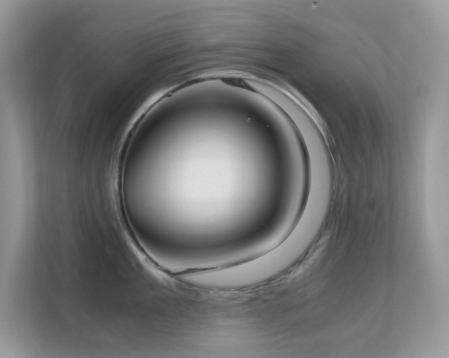 X0000110730909200906121446