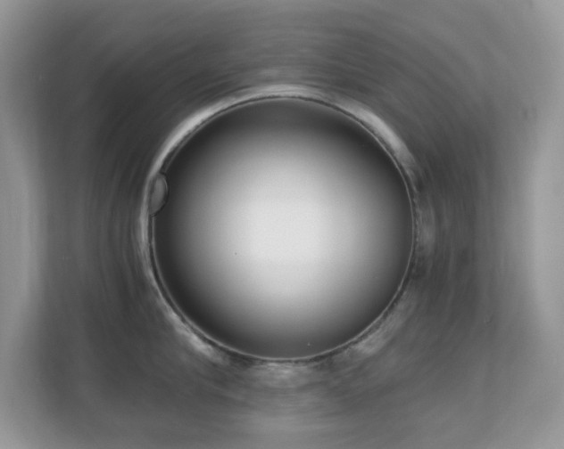 X0000110730910200906121446