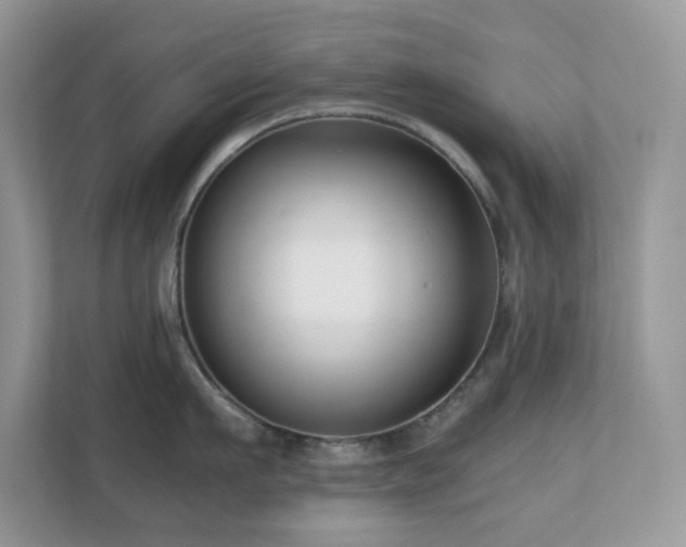 X0000110730911200906121446