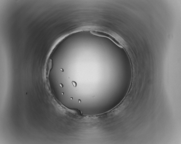 X0000110730912200906121446