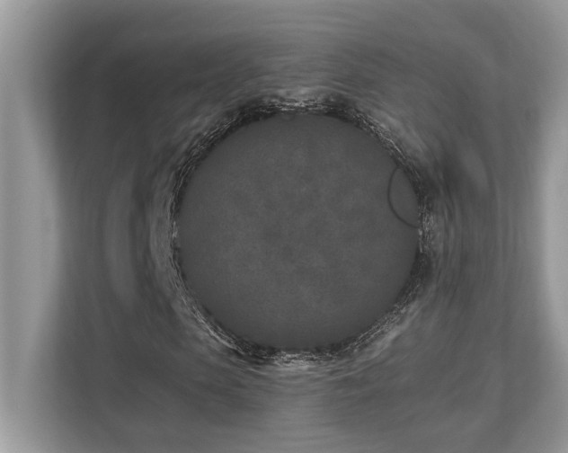X0000110730913200906121445