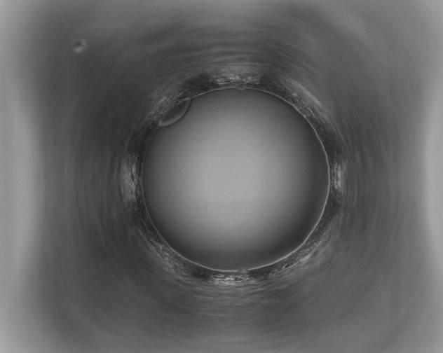 X0000110730915200906121445