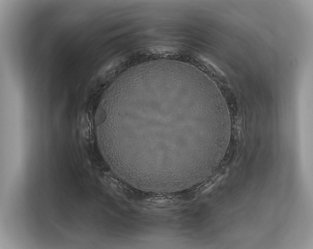 X0000110730917200906121445