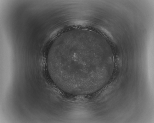X0000110730918200906121445