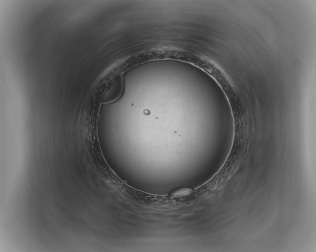 X0000110730919200906121445