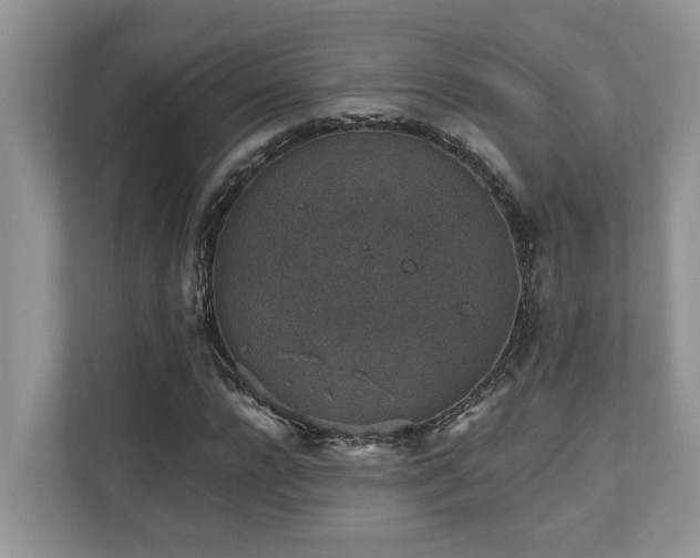 X0000110730920200906121445