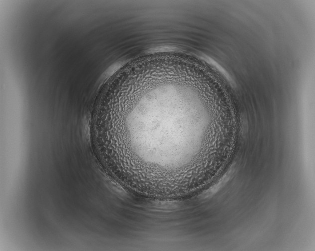 X0000110730921200906121445
