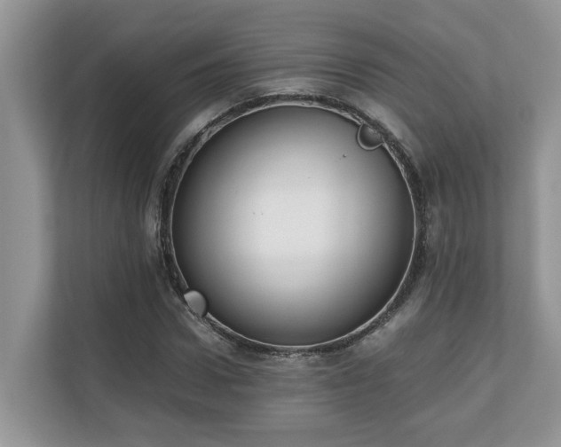 X0000110730922200906121445
