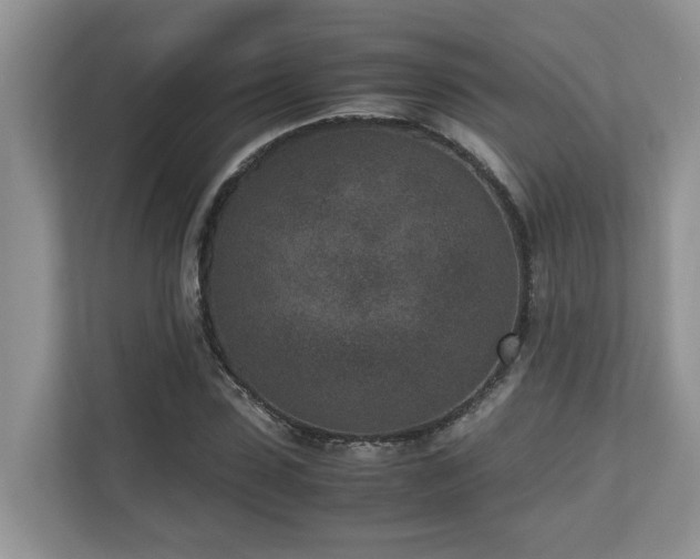 X0000110730923200906121445