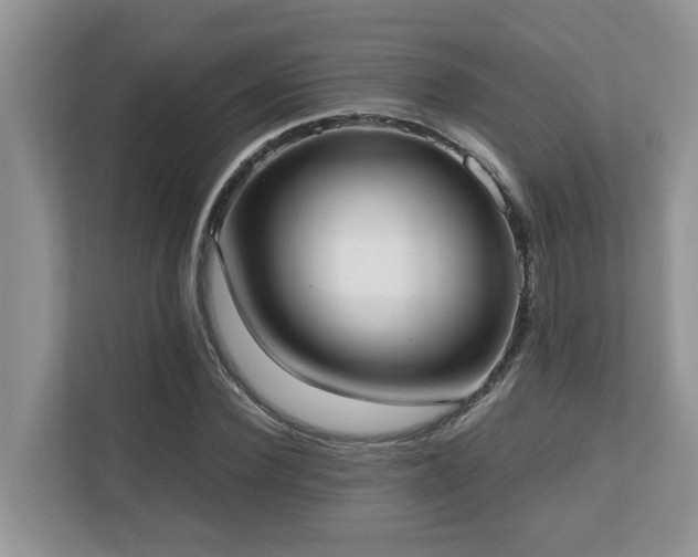 X0000110730924200906121445