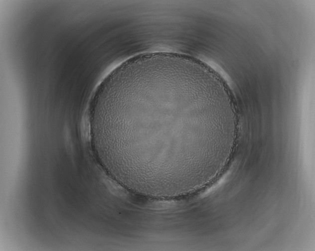 X0000110730925200906121445