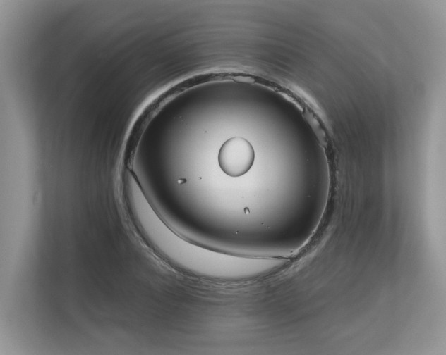 X0000110730928200906121445