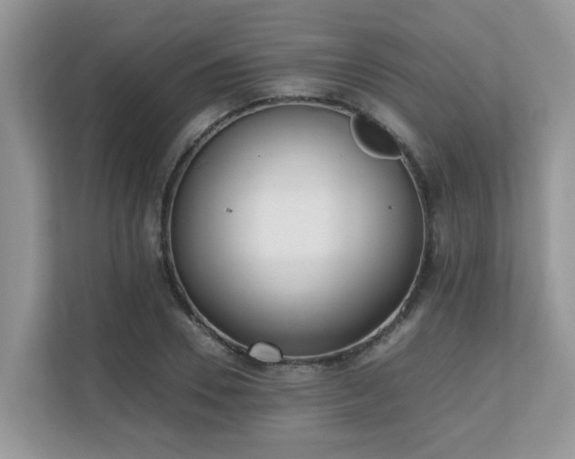 X0000110730930200906121445
