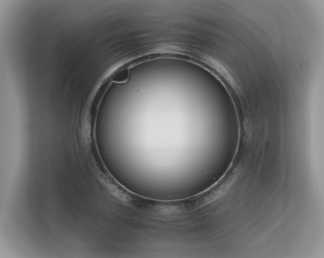 X0000110730931200906121445