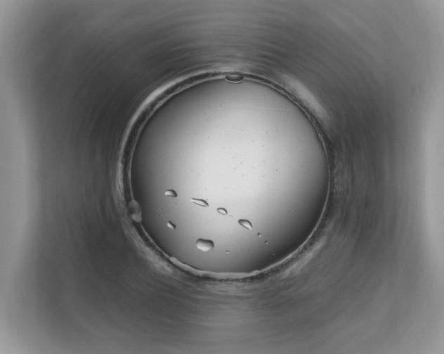 X0000110730932200906121445