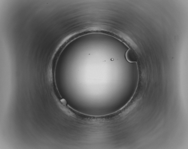 X0000110730934200906121445