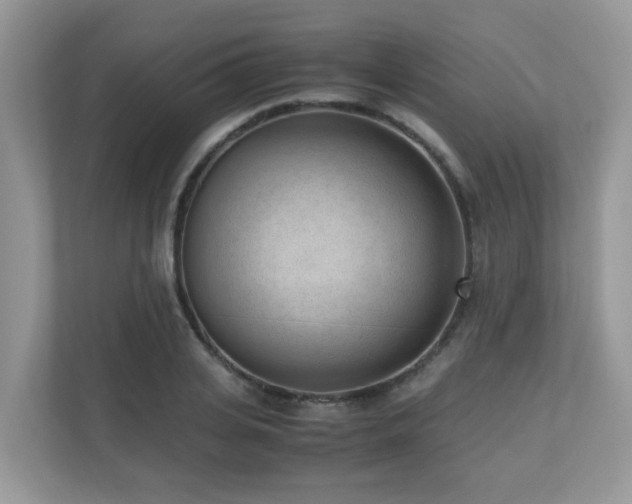 X0000110730935200906121445