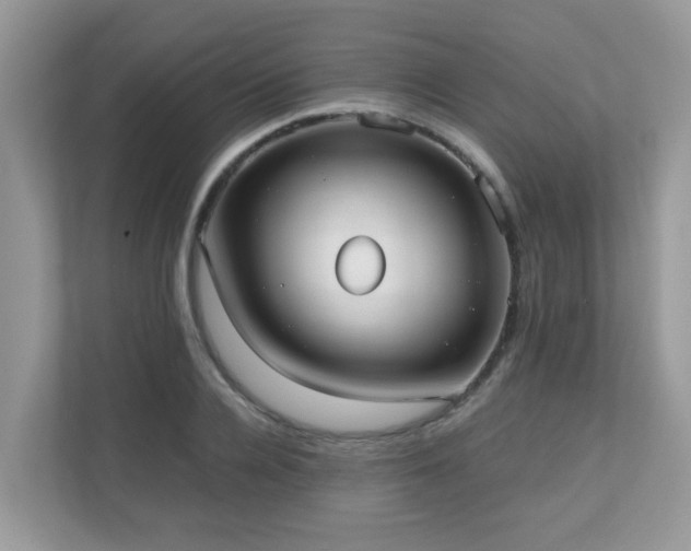 X0000110730936200906121445