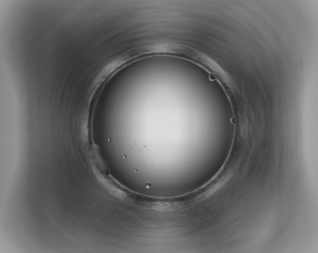 X0000110730938200906121445