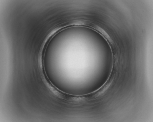 X0000110730939200906121445