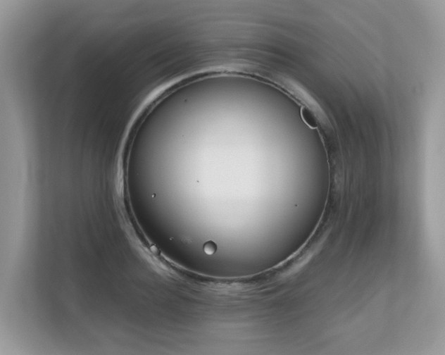 X0000110730940200906121445