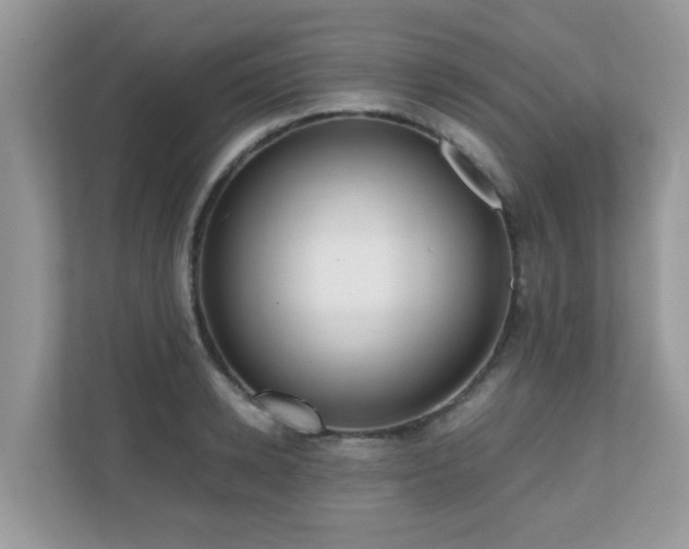 X0000110730942200906121445