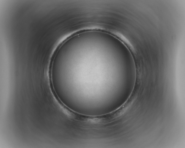 X0000110730943200906121445