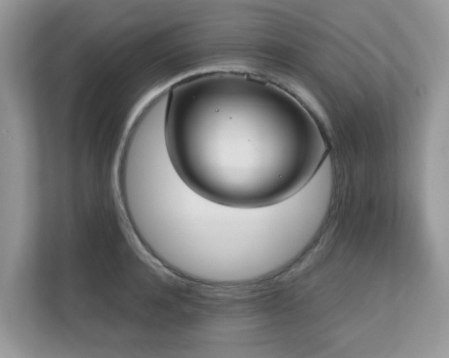 X0000110730944200906121445