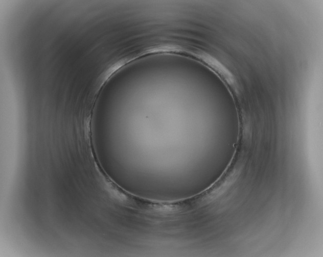 X0000110730945200906121445