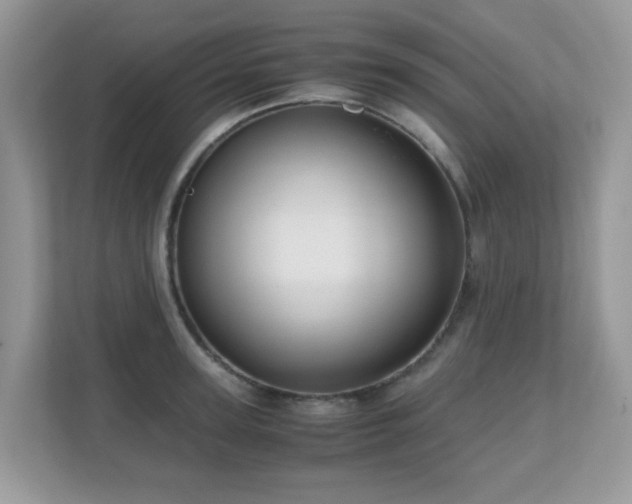 X0000110730947200906121445