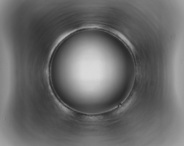 X0000110730951200906121446
