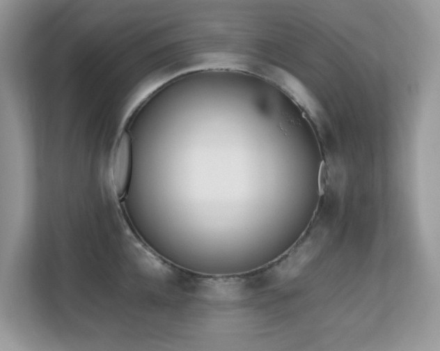 X0000110730952200906121446