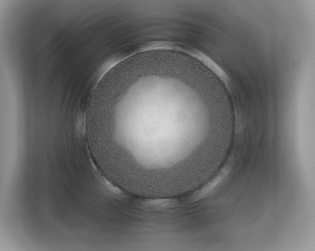 X0000110730953200906121446