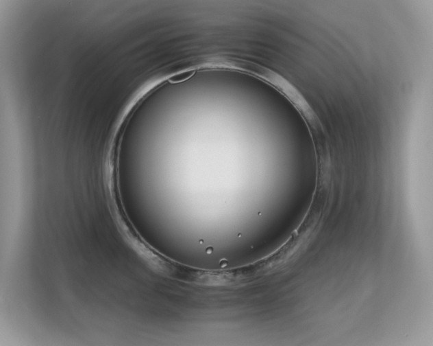 X0000110730955200906121446