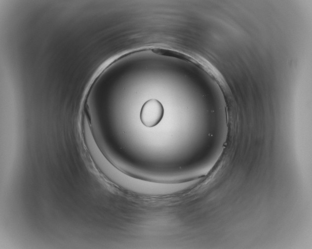 X0000110730956200906121446