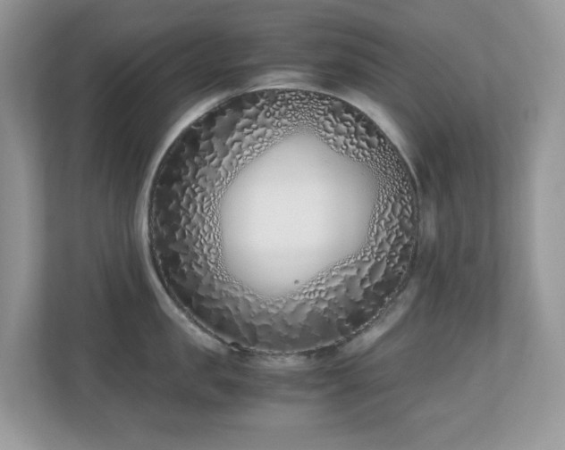 X0000110730957200906121446