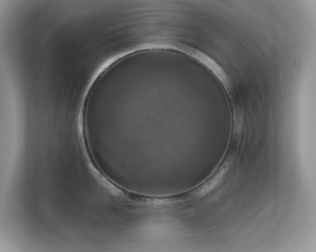X0000110730958200906121446
